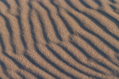 Full frame shot of sand dune