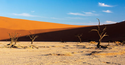 View of desert against sky