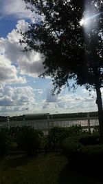 Scenic view of trees against cloudy sky