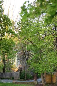 Built structure with trees in background