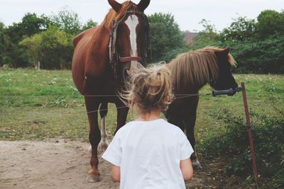 Rear view of girl looking at horses in ranch