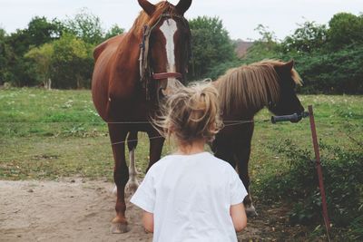 Rear view of horse in field