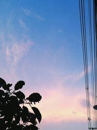 Low angle view of tree against sky