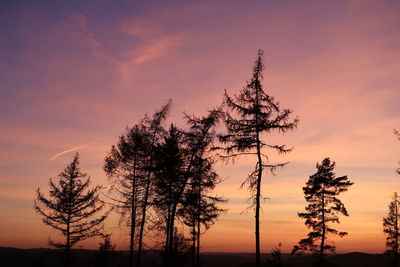 Low angle view of silhouette tree against sky during sunset