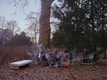 Empty chairs and table on field by trees