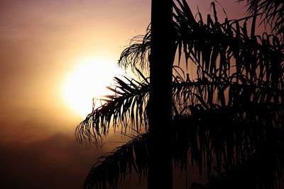 Silhouette tree against sky during sunset