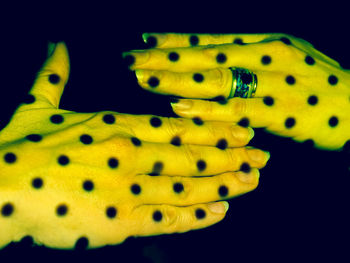 Close-up of yellow flower over black background