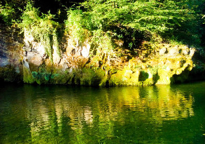 Scenic view of lake