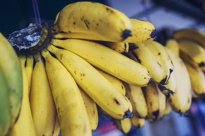 Close-up of bananas