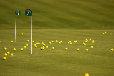 Multi colored pencils on golf course