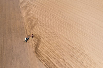 High angle view of people skiing in desert