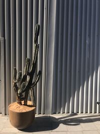 Close-up of statue against window