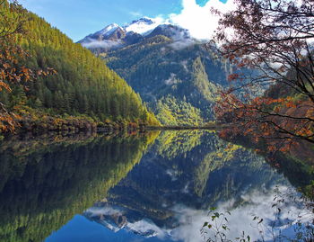 Scenic view of lake by trees during autumn