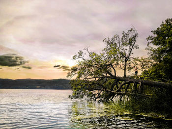 Scenic view of lake against sky at sunset