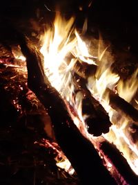 Close-up of fire in the dark