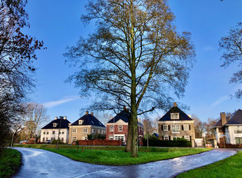 Houses and trees by road against blue sky