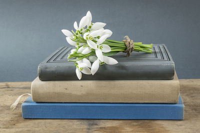 Close-up of white flowers on table