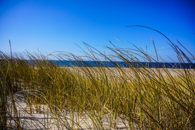 Scenic view of sea against clear blue sky