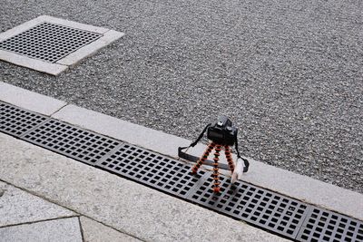 High angle view of person on road in city