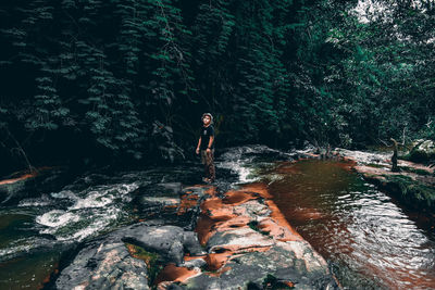 View of stream flowing through rocks in forest