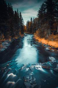 Scenic view of river flowing in forest against sky