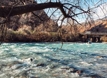 View of trees by the sea