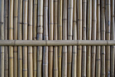 Full frame shot of bamboo structure in forest