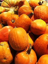 Full frame shot of pumpkins