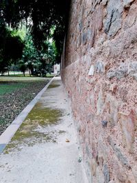 Close-up of footpath by wall