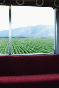 Scenic view of field seen through window