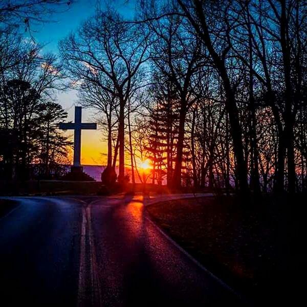 ROAD AMIDST TREES AGAINST ORANGE SKY