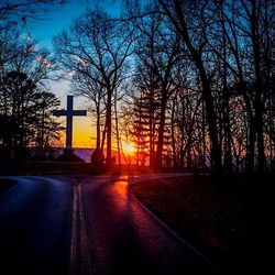 Road by trees against orange sky