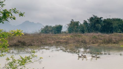 Scenic view of lake against sky