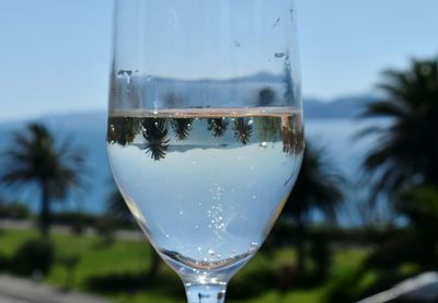 Close-up of champagne flute with palm trees reflection