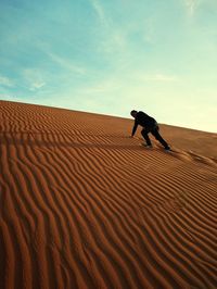 View of a horse on sand