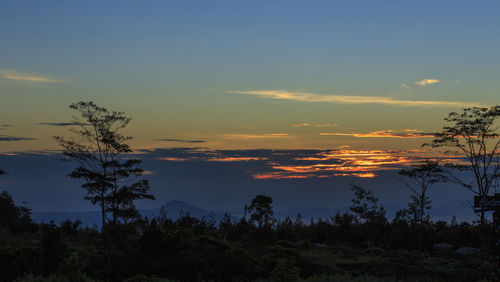 Scenic view of silhouette trees against sky during sunset