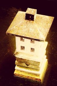 Close-up of tree stump