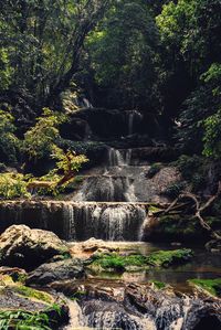 Scenic view of waterfall