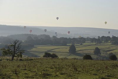 View of hot air balloons on field against sky