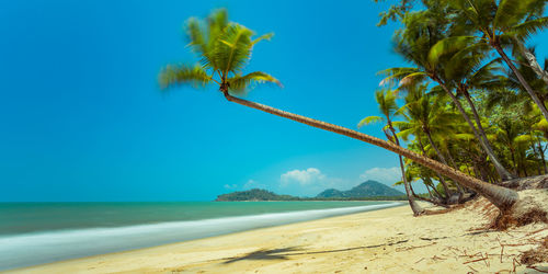 Scenic view of beach against blue sky