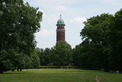 Trees in park