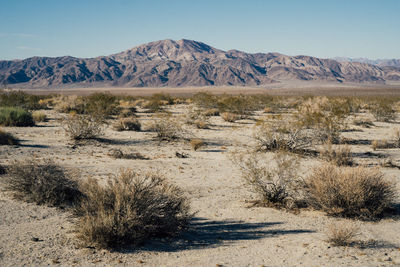 Scenic view of desert against clear sky