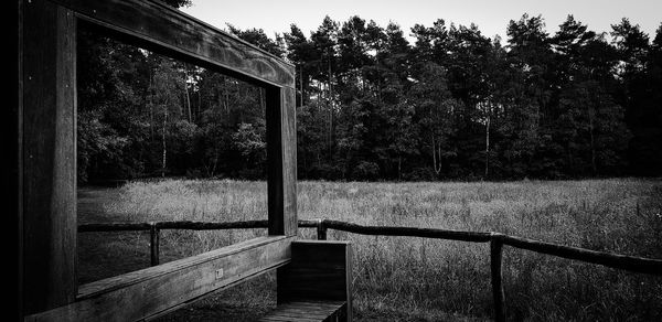 Railing by trees in forest