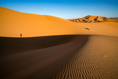 Lonely photographer ii sahara desert