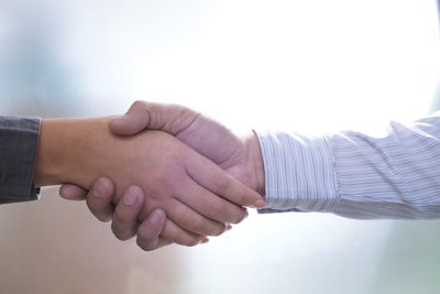 Close-up of business people doing handshake