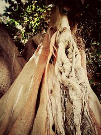 Low angle view of statue against trees