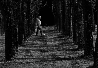 Man standing by tree  in forest in the moonshine