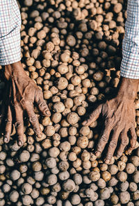 High angle view of man hands over potatoes