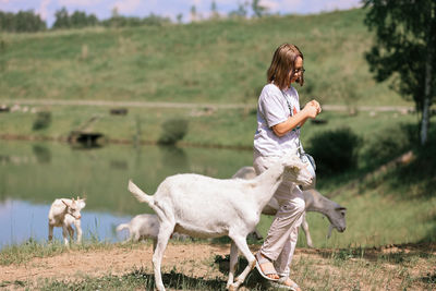 Girl feeds and plays with goats on a farm