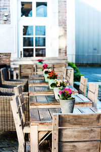 Potted flowering plants on tables outside building